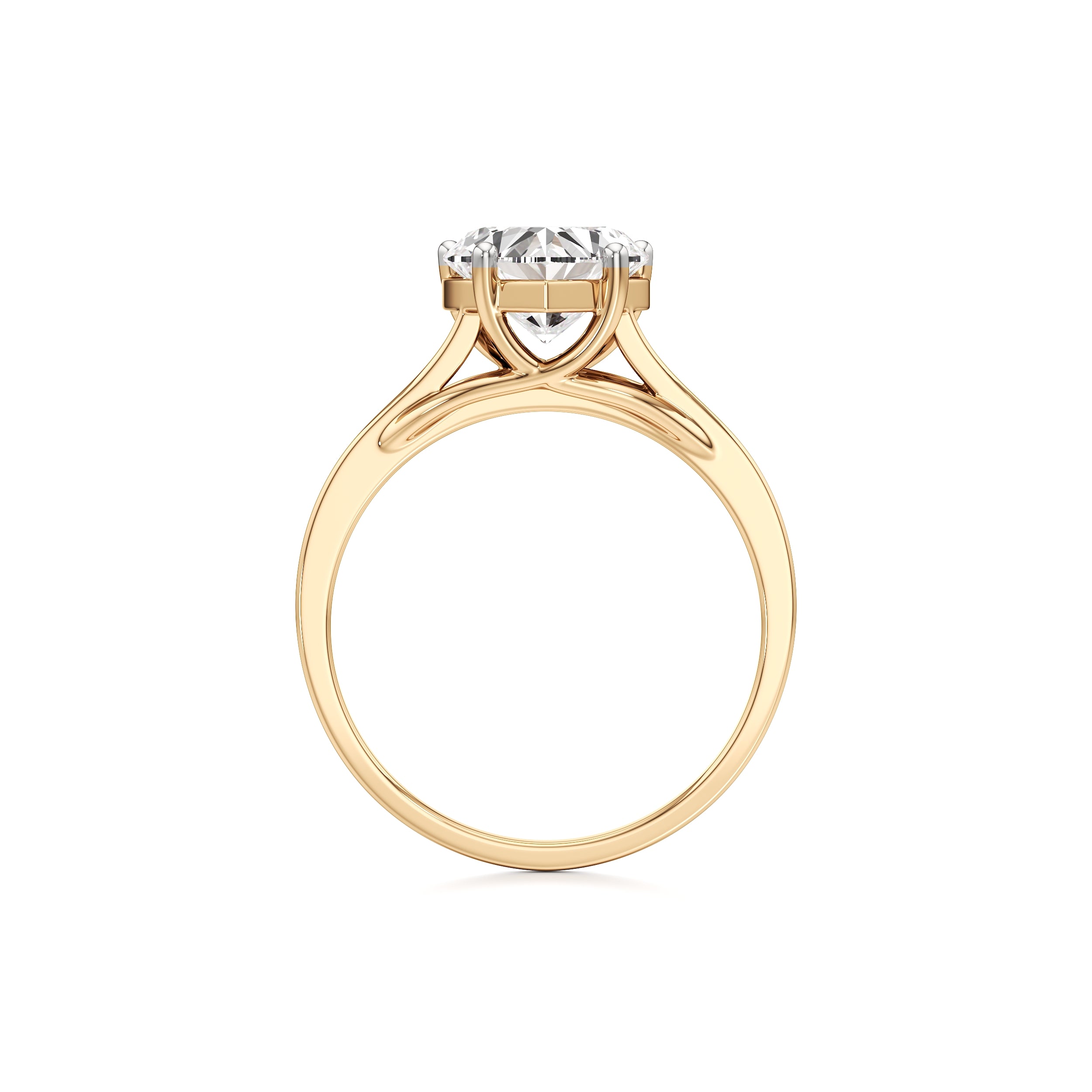 Ode to the Classics Ring